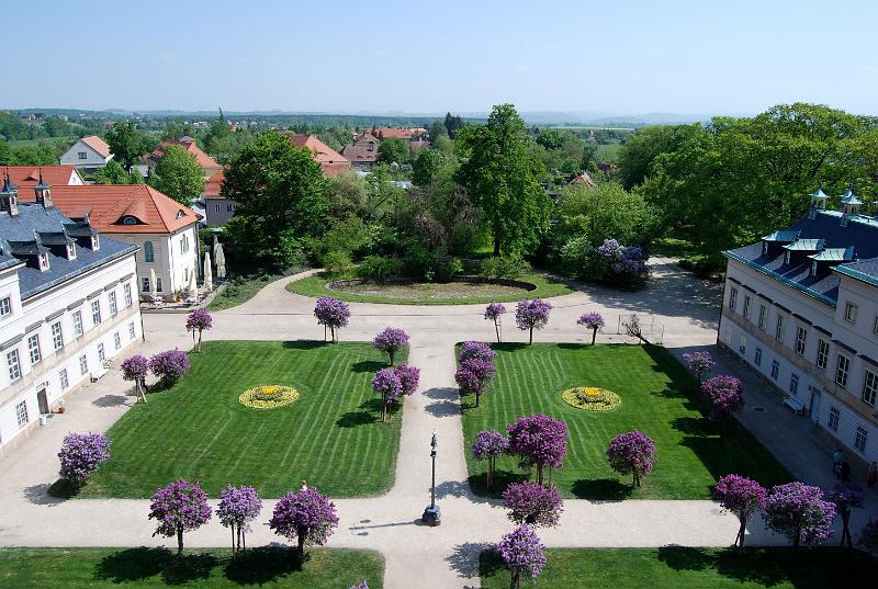 2009-04-28, Pillnitz (14).JPG